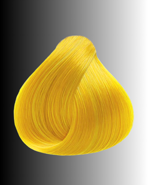 YELLOW OYA Hybrid Concentrate